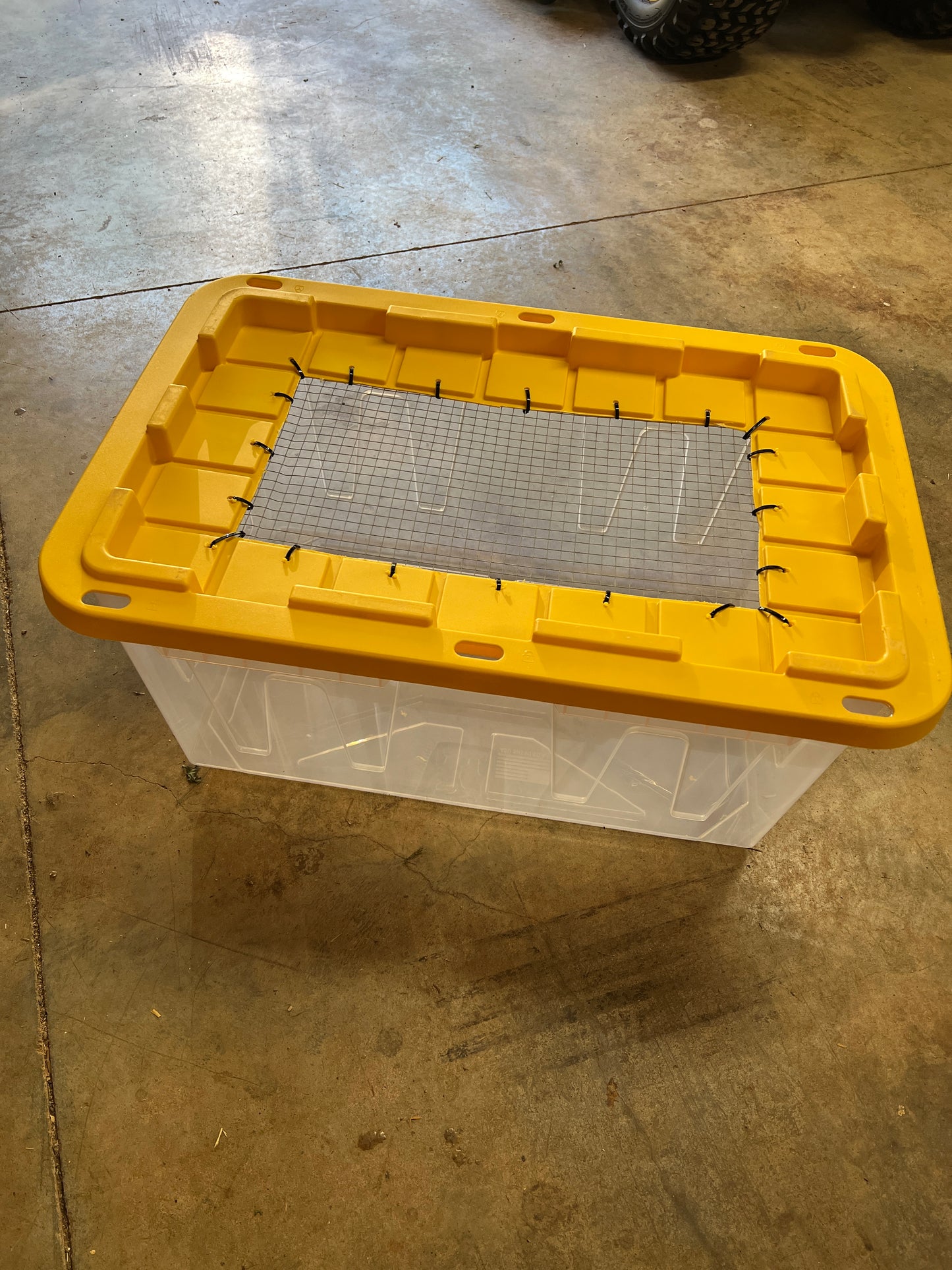 The Perfect Start for Your Flock: 27-Gallon Custom Chick Brooder Box